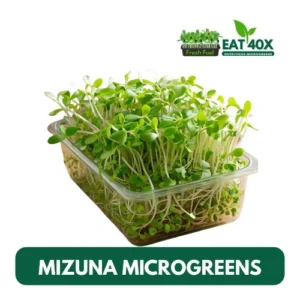 Mizuna Microgreens