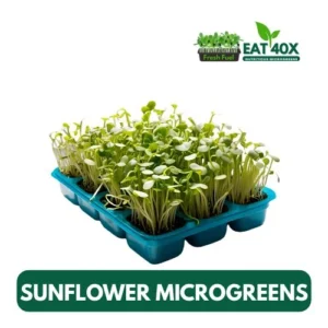 Sunflower Microgreens