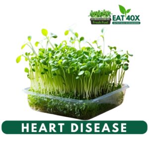Heart Disease