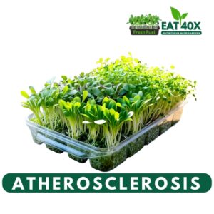 Atherosclerosis