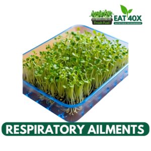 Respiratory Ailments