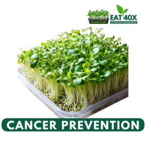 Cancer Prevention