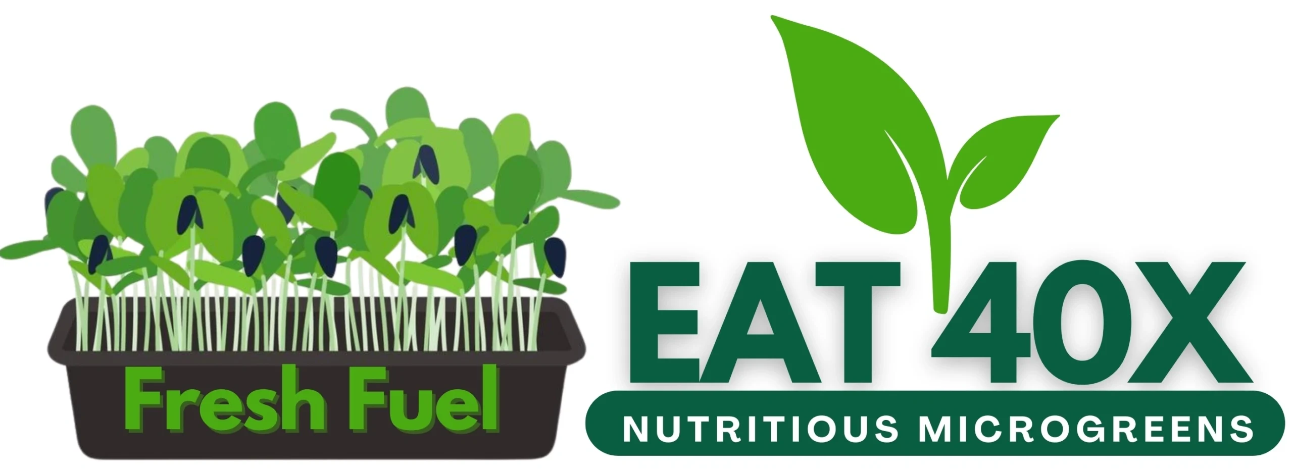 Eat40x
